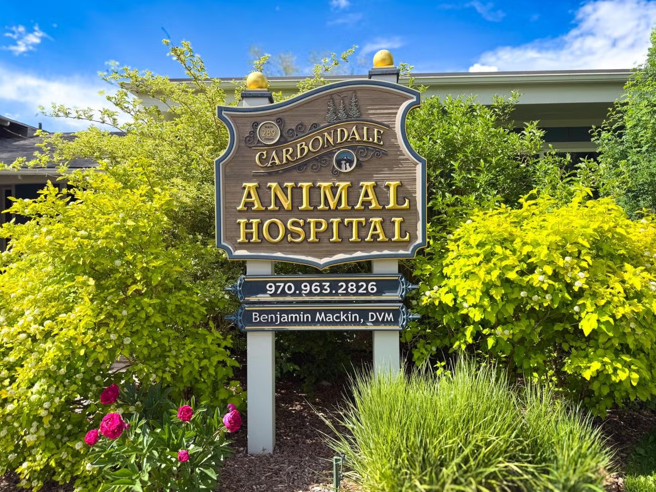 Carbondale Animal Hospital monument sign outside the veterinary clinic at 289 Main Street in Carbondale, CO 